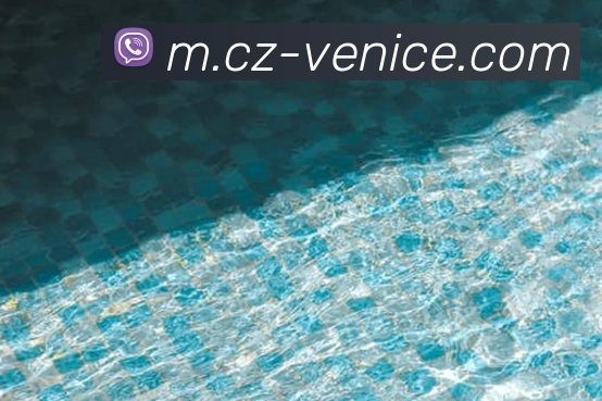 威尼斯人官网服务体系